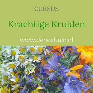 Cursus Krachtige Kruiden