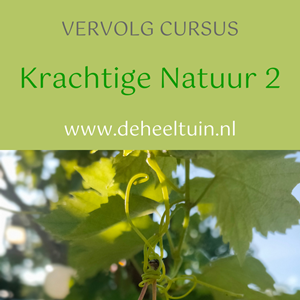 Cursus Krachtige Natuur 2