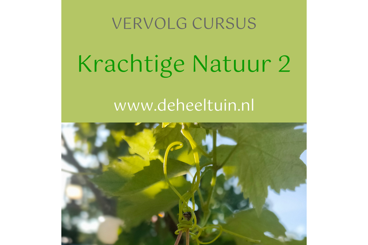 Cursus Krachtige Natuur 2