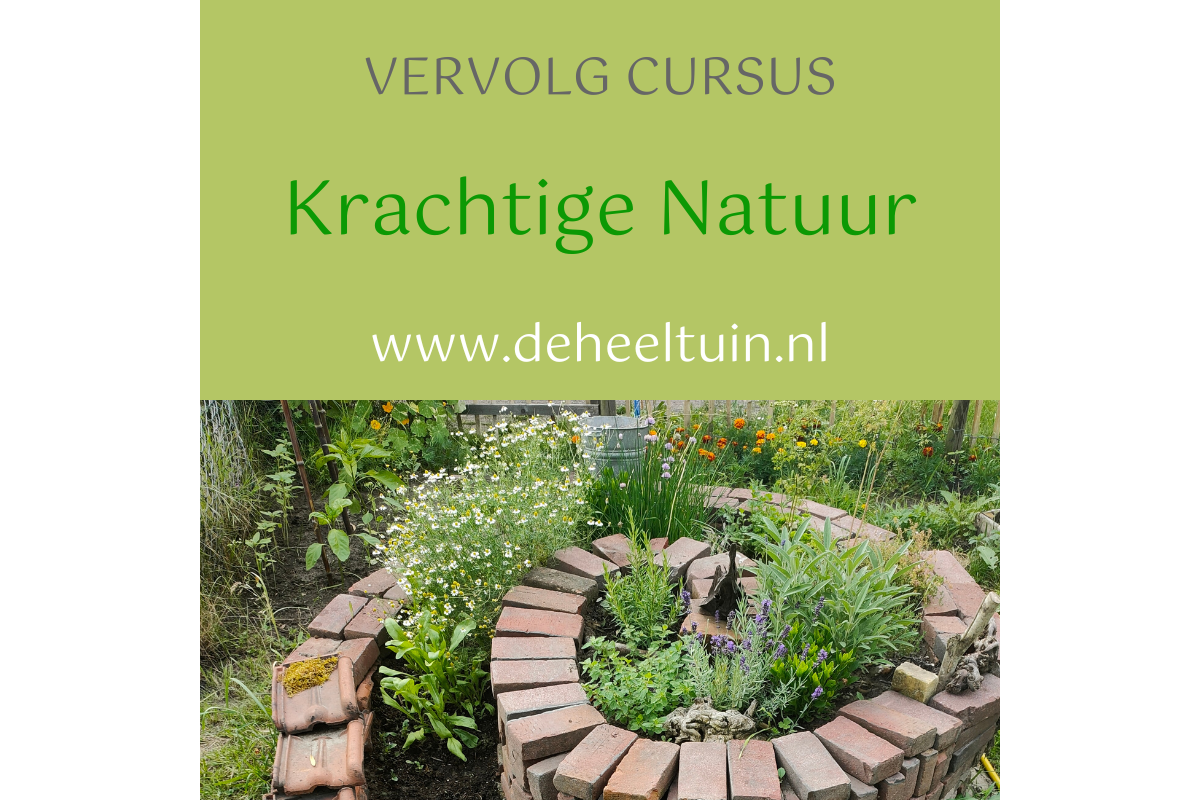 Cursus Krachtige Natuur