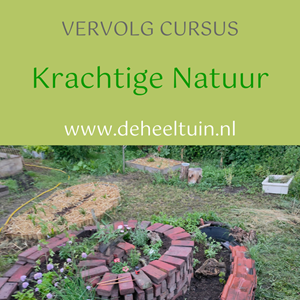 Cursus Krachtige Natuur