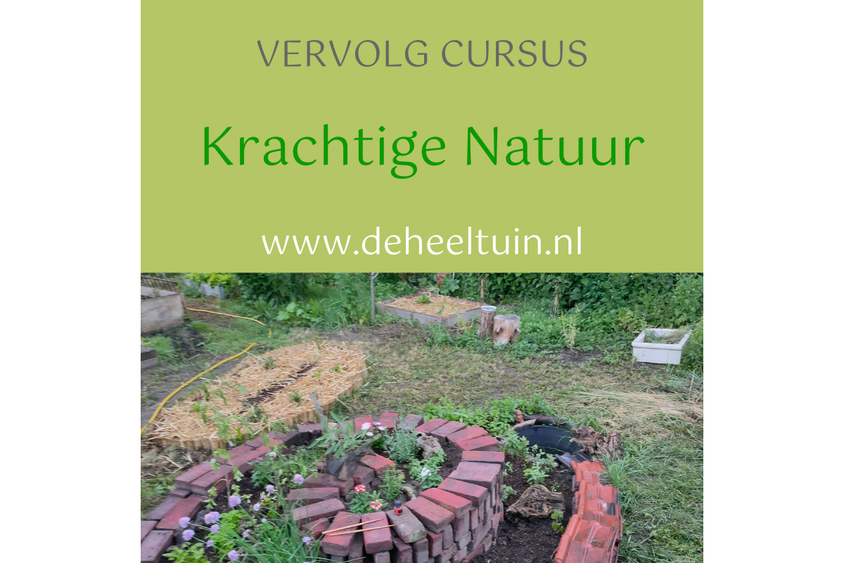 Cursus Krachtige Natuur