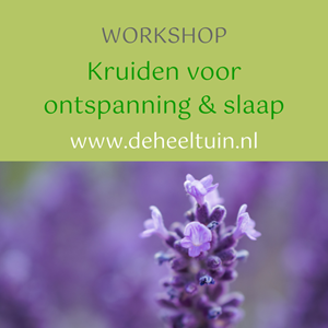 Workshop Kruiden voor Ontsp...