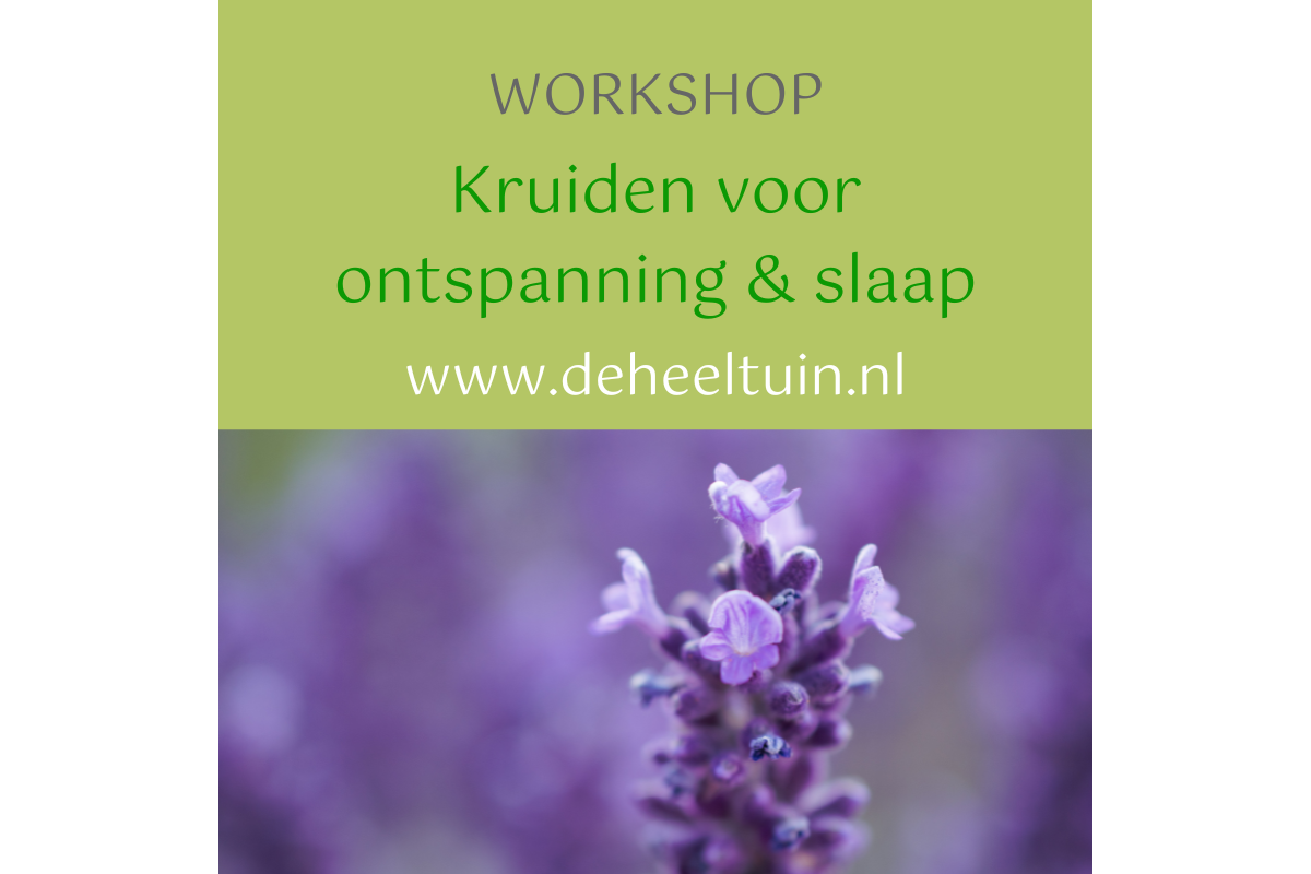 Workshop Kruiden voor Ontspanning & Slaap