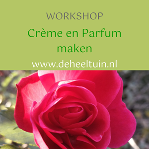 Workshop Crème en Parfum maken