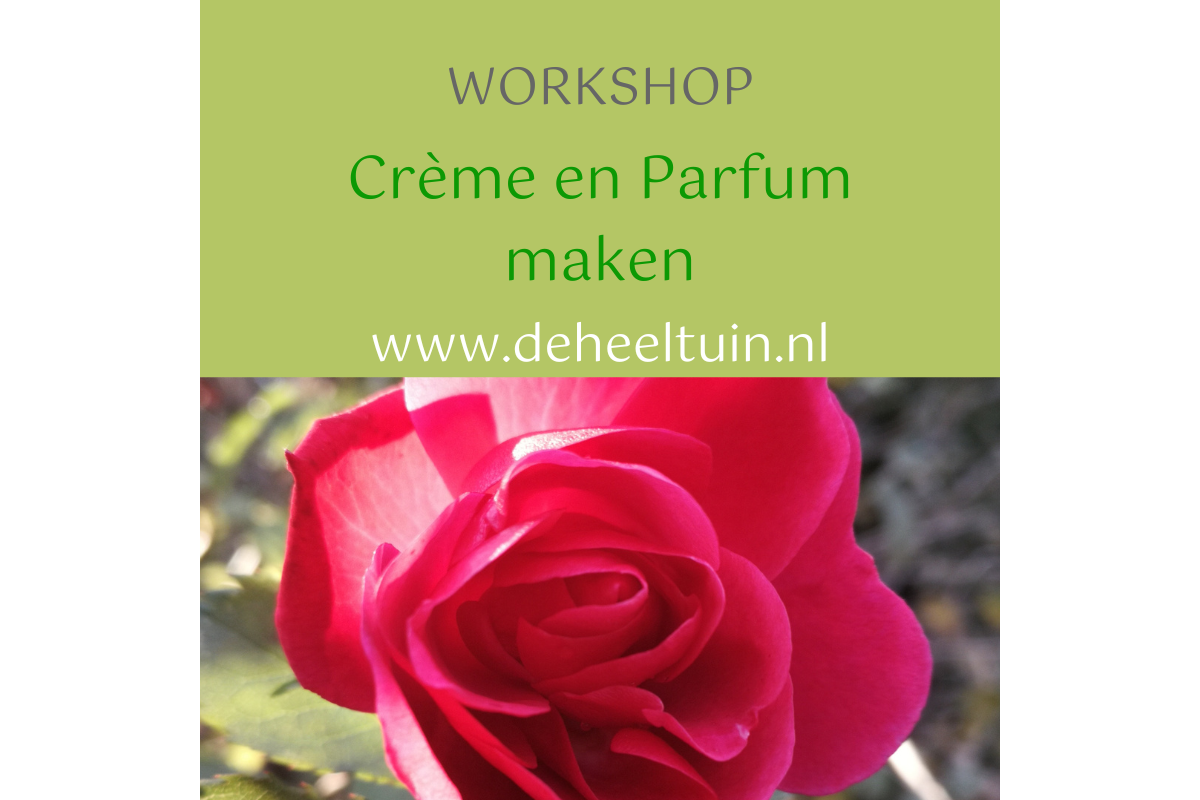 Workshop Crème en Parfum maken