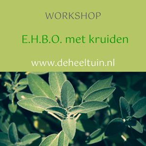 Workshop E.H.B.O. met Kruiden