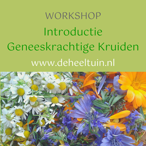 Workshop Introductie Genees...