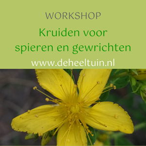 Workshop Kruiden spieren ge...