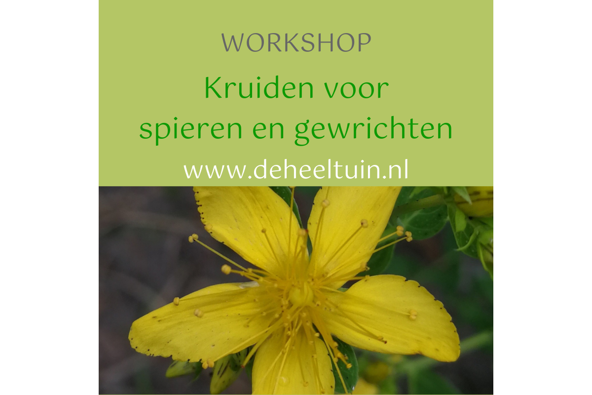 Workshop Kruiden spieren gewrichten