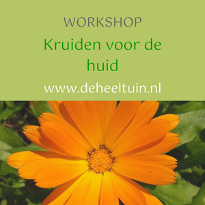 Workshop Kruiden voor de huid