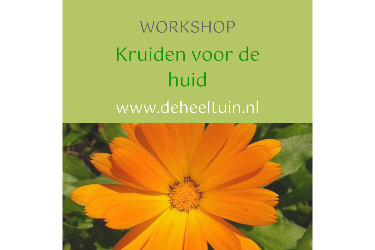 Workshop Kruiden voor de huid