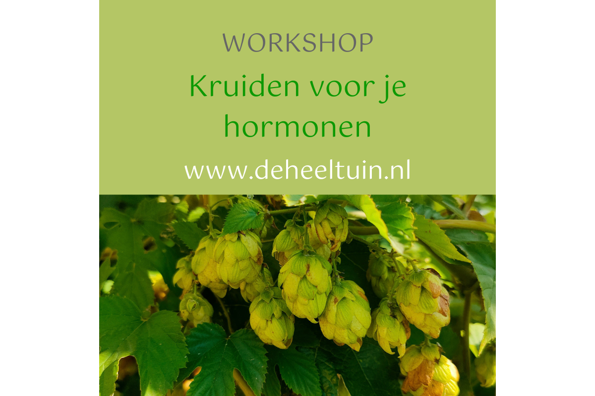 Workshop Kruiden voor je Hormonen