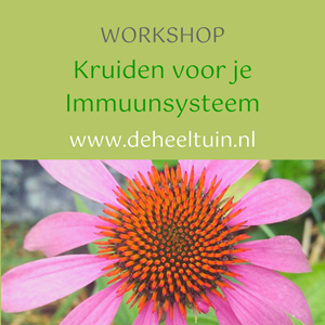 Workshop Kruiden voor je im...