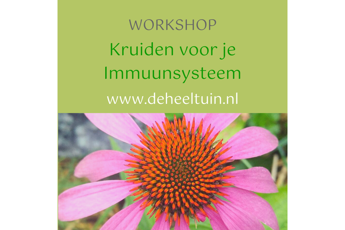 Workshop Kruiden voor je immuunsysteem