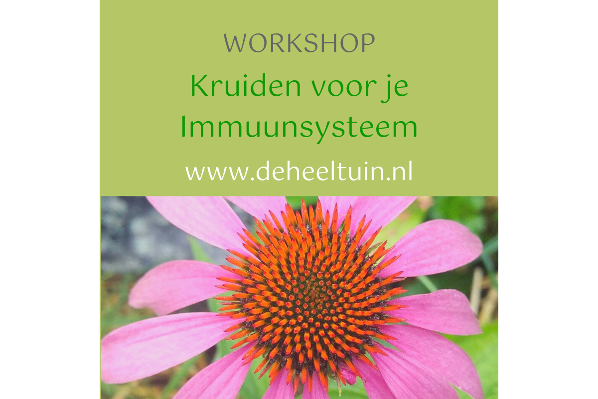 Workshop Kruiden voor je Immuunsysteem