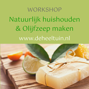 Workshop Natuurlijk huishouden