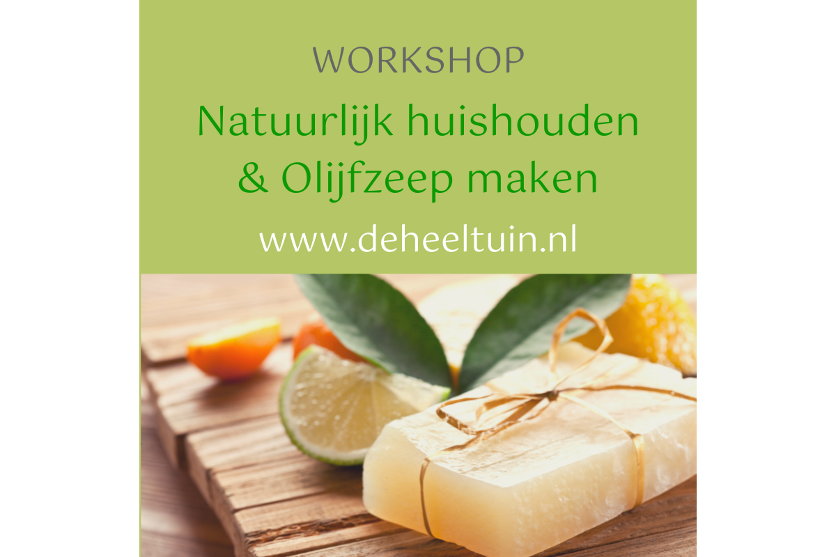 Workshop Natuurlijk huishouden