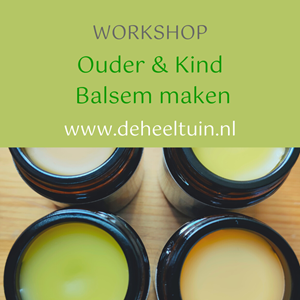 Workshop Ouder & Kind Balse...