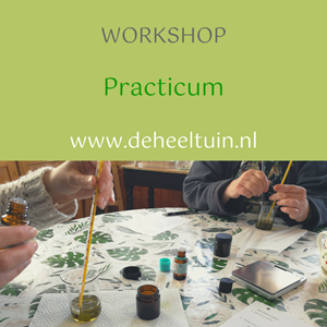 Workshop Practicum