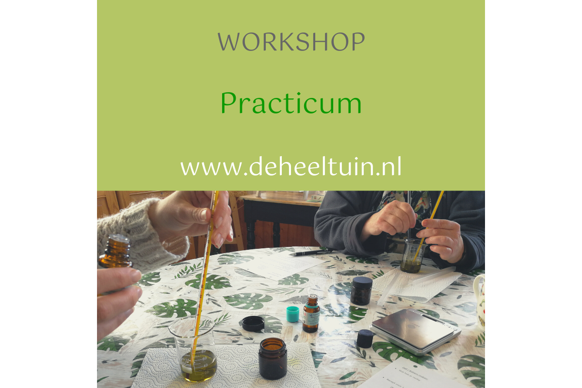 Workshop Practicum