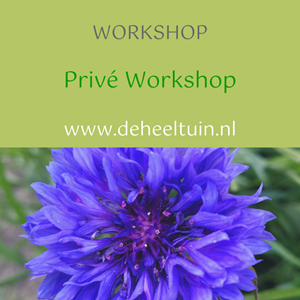 Workshop Privé