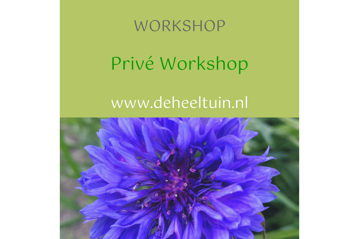 Workshop Privé