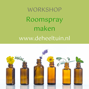 Workshop Roomspray maken