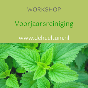 Workshop Voorjaarsreiniging