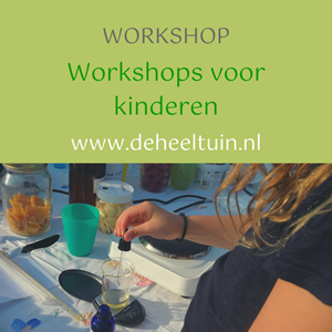 Workshops voor Kinderen